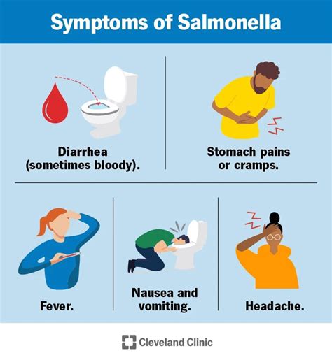 Salmonella: Outbreaks, Causes, Symptoms & Treatment (2023)