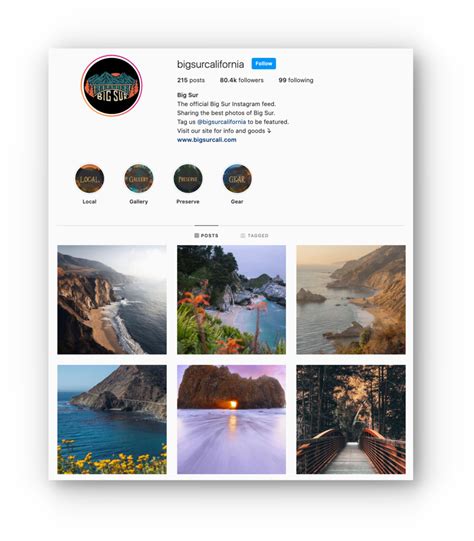 5 Instagram Profile Template Ideas to Match Your Unique Brand