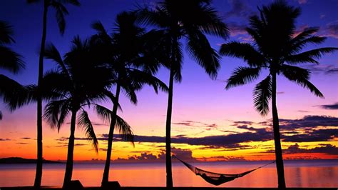 Tropical Sunset Wallpapers - Top Free Tropical Sunset Backgrounds ...