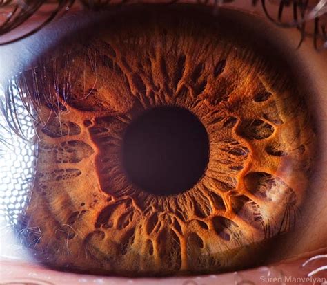 Breathtaking Close-Ups of the Human Eye | DeMilked