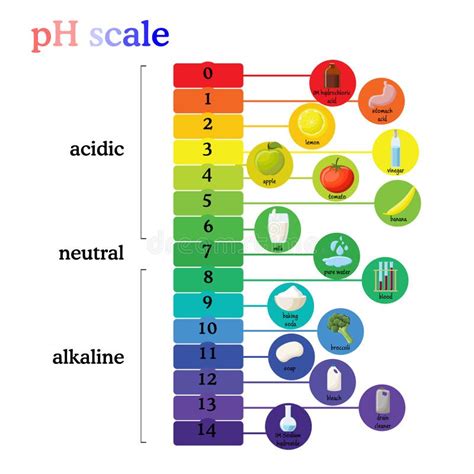 PH Scale. Litmus Paper Color Chart. Stock Vector - Illustration of base ...