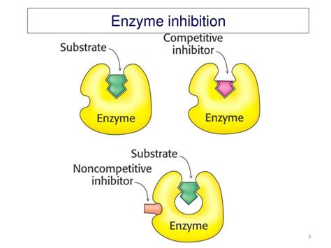 PPT - Lecture 7-Enzyme Inhibition-Drug Discovery PowerPoint ...