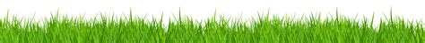 Grass clipart border, Grass border Transparent FREE for download on ...