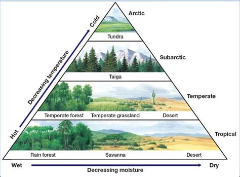 The World Biomes is divided in two parts that are: land and water ...