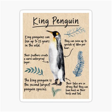 "King Penguin Facts - Fun Animal Facts" Sticker for Sale by Will-273 ...