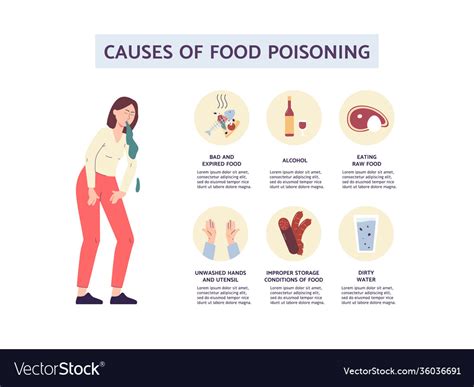 Infographic causes food poisoning with symbols Vector Image