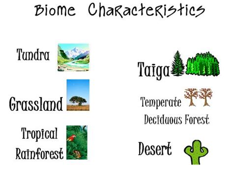 Life, Love, Literacy: Biome Characteristics Multiple Choice