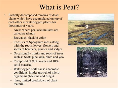 PPT - Formation, Chemistry, and Biology of Wetland Soils PowerPoint ...