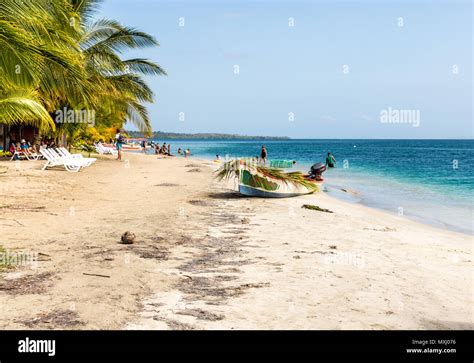 Starfish Beach panama Stock Photo - Alamy