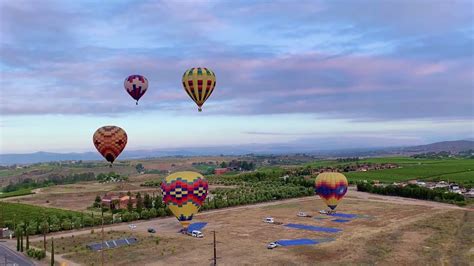 Hot Air Balloon Festival Temecula 2024 - Crysta Emmalee