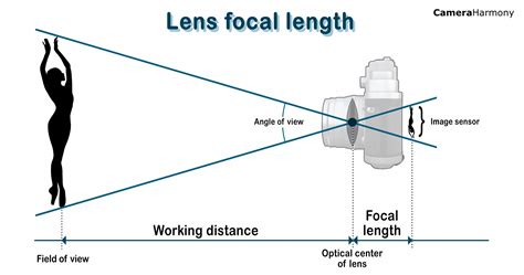 Focal Length Explained: A Beginner’s Guide – Camera Harmony