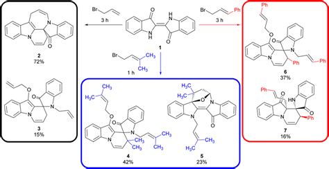 Scheme 1 The cascade reactions of indigo 1 with allyl bromide ...