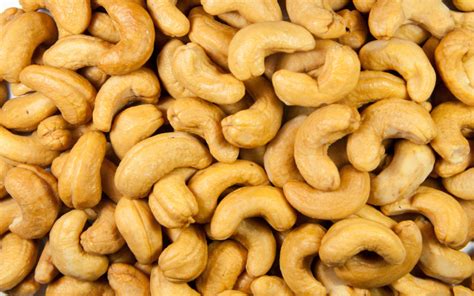 Is a Cashew a Fruit or a Nut? | Wonderopolis