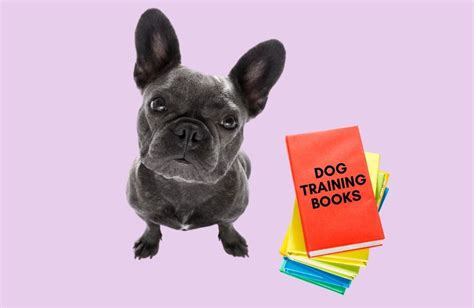 10 Best Dog Training Books Of All Time