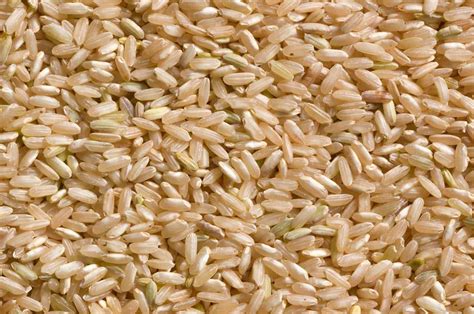 17 Most Common Types Of Rice - A Brief History of Rice