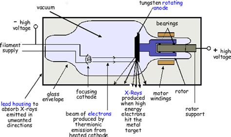 dental x ray machine parts - Cherelle Schulze