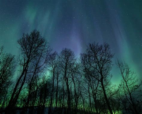 The Celestial Wonders of the Night Sky – Northern Escape Photography