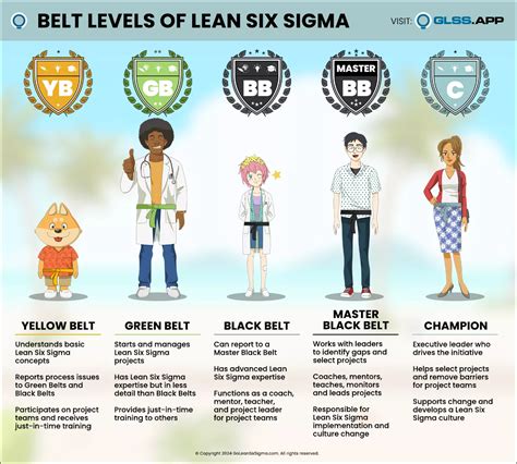 Lean Six Sigma Belt Levels Explained: Roles and Responsibilities