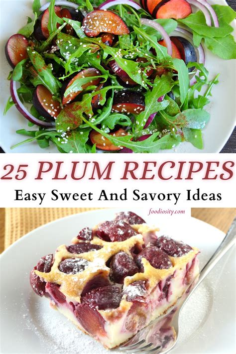 25 Plum Recipes - Easy Sweet And Savory Ideas - Foodiosity