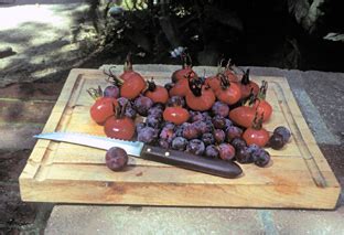 Beach plum | Recipes Wiki | Fandom