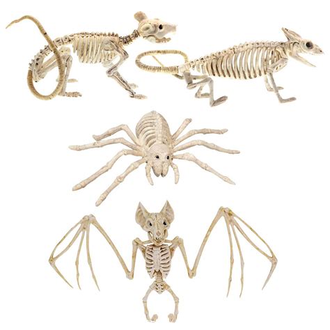 Buy Halloween Animal Skeletons 4 Pack Skeleton Animal Yard Decor and ...