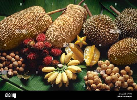 Tropical fruits variety, Malaysia; Durian, banana, star fruit, rambutan ...