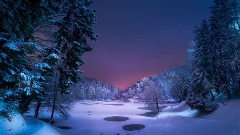 Snowy Forest at Night Wallpapers - Top Free Snowy Forest at Night ...