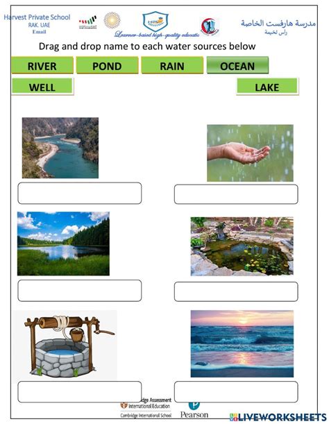 Sources of Water online worksheet | Sources of water for kids chart ...