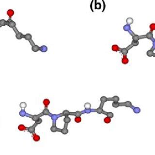 Kinesin neck linker structure and mechanism. (a) Schematic of kinesin ...