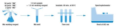 Micro BCA Protein Assay Kit - Thermo Fisher Scientific