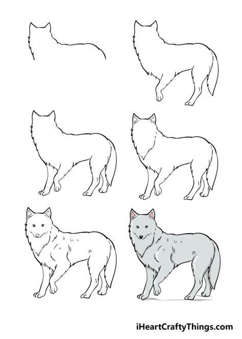 How to Draw Arctic Animals - Hooks Afterely39