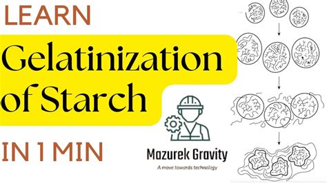Gelatinization Of Starch | Food chemistry | #starch - YouTube