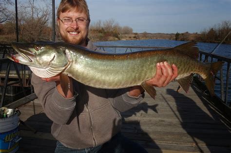 Ben Cantrell's fish species blog: Muskellunge