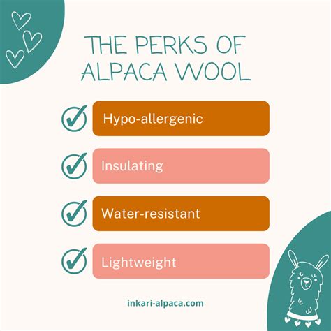 Is alpaca wool itchy?