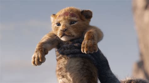 How They Made Little Simba Look So Lifelike in ‘The Lion King’ - The ...