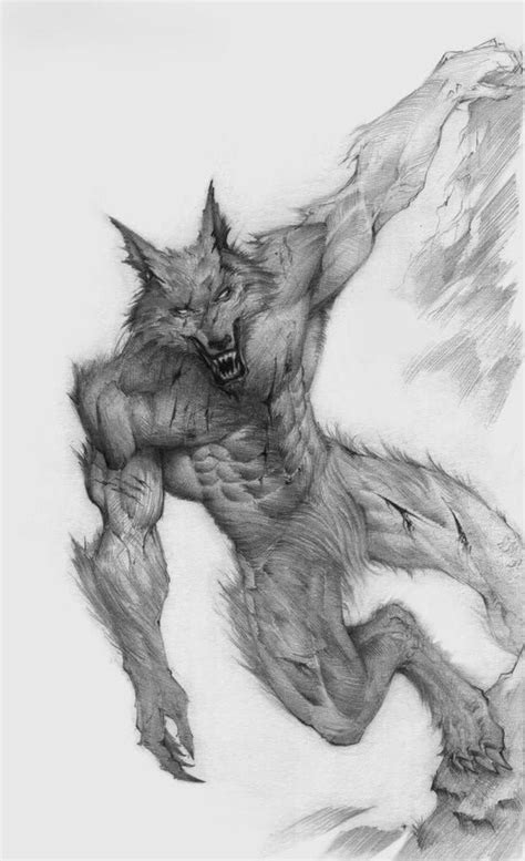 Pin by Gary Ellison on Волки | Werewolf drawing, Werewolf, Werewolf art