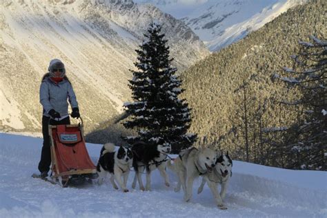 Husky dog sleigh ride just outside Livigno. Most amazing thing ever ...