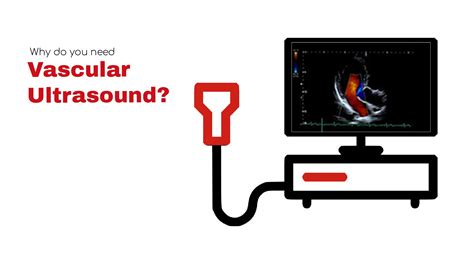 Vascular ultrasound (VU) Studies ~ Stat! Cardiologist