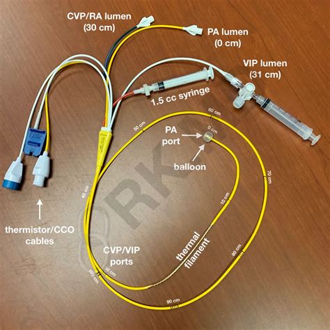 Pulmonary Artery Catheter/Swan-Ganz Structure And Waveforms | RK.MD