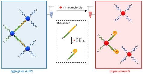 Biosensors | Free Full-Text | Gold Nanoparticle-Based Plasmonic Biosensors