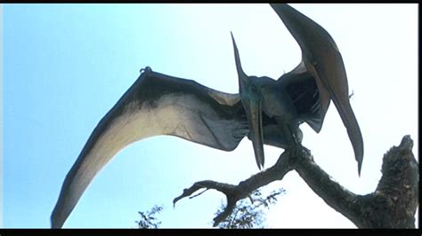 Pteranodon | Kingdom Hearts Fan Fiction | FANDOM powered by Wikia