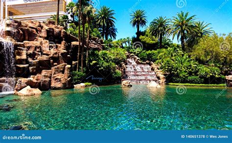 Desert Oasis at the Mirage editorial stock photo. Image of oasis ...