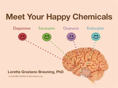 BOOK OF WIT: HAPPY BRAIN CHEMICALS: D O S E