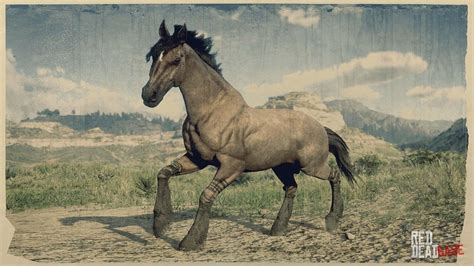 Mustang | RDR2 Horse Breeds Coats, Locations & Stats