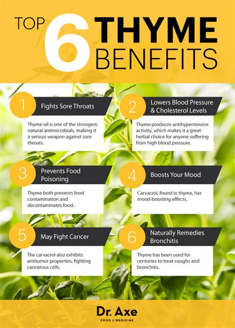 Top 6 Thyme Benefits (#1 & #6 Will Clear Your Throat) - Dr. Axe