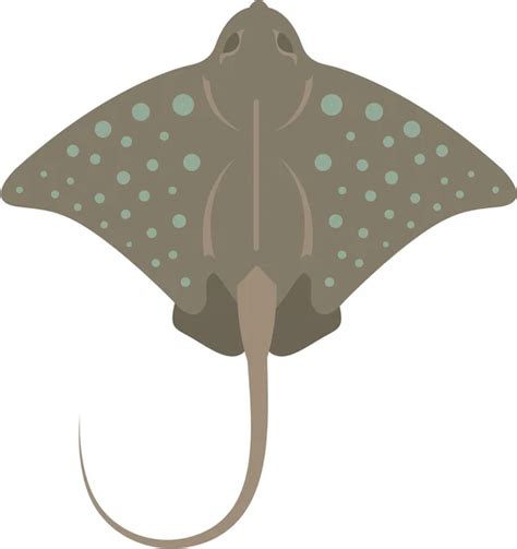 Vectores de stock de Mantarraya dibujos animados, ilustraciones de ...