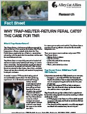 Alley Cat Allies | Why Trap-Neuter-Return Feral Cats? The Case for TNR