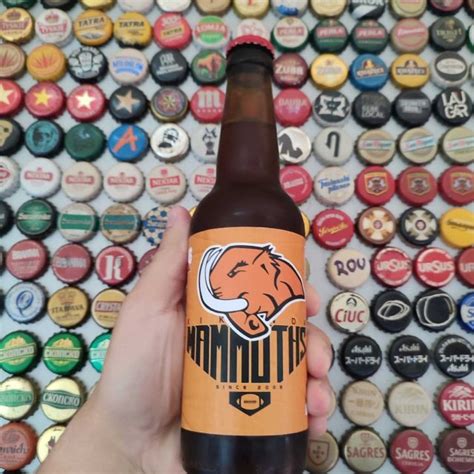 Mammoths Kikinda - Beer Kings Brewing Co. | Photos - Untappd