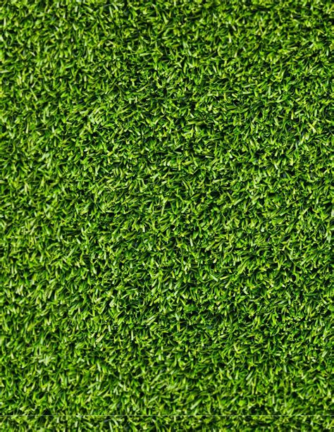 Free photo: Grass texture - Grass, Green, Lawn - Free Download - Jooinn