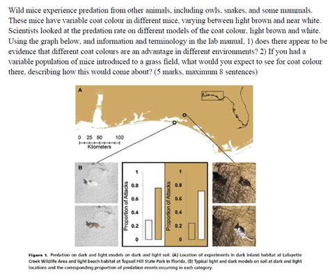 Solved Wild mice experience predation from other animals, | Chegg.com